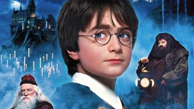 How long is every harry potter movie combined