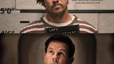 What movie did mark wahlberg gain weight for
