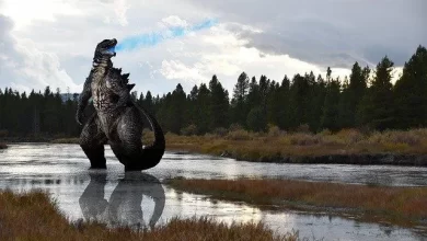 Where did godzilla come from in the movie